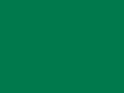 85 см № 258 яр. зеленый спираль (G) сорт-2 - купить в Петропавловске-Камчатском. Цена: 16.97 руб.