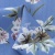 Плательная ткань "Фламенко" 12.1, 80 гр/м2, шир.150 см, принт растительный - купить в Петропавловске-Камчатском. Цена 241.49 руб.