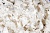 Тесьма плетеная "Рюш" с жемугом №2 (уп.13 м), цв.-молочный  - купить в Петропавловске-Камчатском. Цена: 46.82 руб.