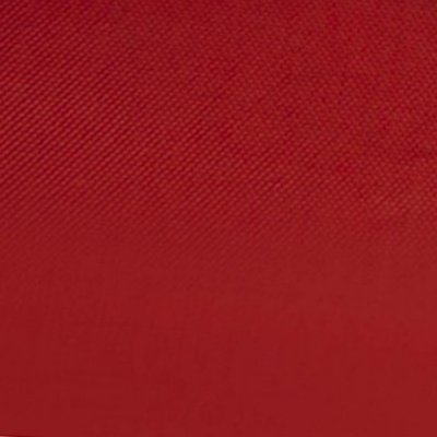 Ткань подкладочная Таффета 19-1656, антист., 53 гр/м2, шир.150см, цвет вишня - купить в Петропавловске-Камчатском. Цена 62.37 руб.