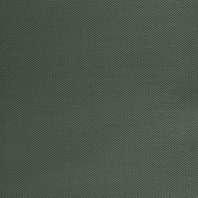 Оксфорд (Oxford) 240D 19-5917, PU/WR, 115 гр/м2, шир.150см, цвет т.зелёный - купить в Петропавловске-Камчатском. Цена 152.54 руб.