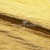 Текстильный материал "Диско"#1805 с покрытием РЕТ, 40гр/м2, 100% полиэстер, цв.5-золото - купить в Петропавловске-Камчатском. Цена 412.36 руб.