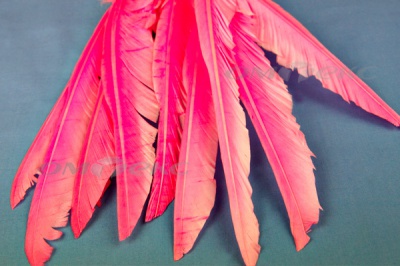 Декоративный Пучок из перьев, перо 25см/розовый - купить в Петропавловске-Камчатском. Цена: 14.40 руб.