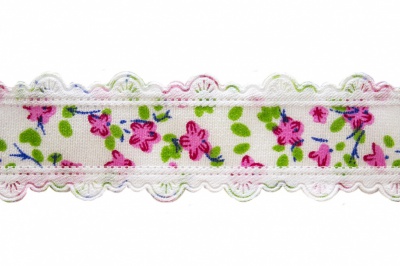 Тесьма декоративная 0385-6170, шир. 25 мм/уп. 22,8+/-1 м, цвет 02-розовый - купить в Петропавловске-Камчатском. Цена: 368.42 руб.