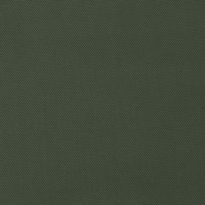 Ткань подкладочная "BEE" 19-0419, 54 гр/м2, шир.150см, цвет болотный - купить в Петропавловске-Камчатском. Цена 64.20 руб.