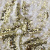 Трикотажное полотно, Сетка с пайетками, шир.130 см, #315, цв.-белый/золото - купить в Петропавловске-Камчатском. Цена 693.39 руб.
