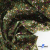 Ткань костюмная «Микровельвет велюровый принт», 220 г/м2, 97% полиэстр, 3% спандекс, ш. 150См Цв  #9 - купить в Петропавловске-Камчатском. Цена 439.76 руб.