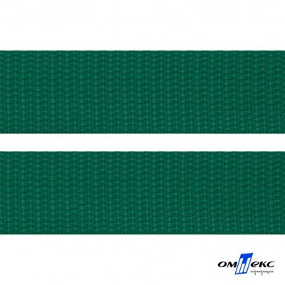Зелёный- цв.876 -Текстильная лента-стропа 550 гр/м2 ,100% пэ шир.20 мм (боб.50+/-1 м) - купить в Петропавловске-Камчатском. Цена: 318.85 руб.