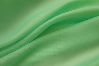 Портьерный капрон 15-6123, 47 гр/м2, шир.300см, цвет св.зелёный - купить в Петропавловске-Камчатском. Цена 137.27 руб.