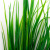 Трава искусственная -2, шт (осока 41см/8 см)				 - купить в Петропавловске-Камчатском. Цена: 104.57 руб.