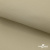 Ткань подкладочная TWILL 230T 14-1108, беж светлый 100% полиэстер,66 г/м2, шир.150 cм - купить в Петропавловске-Камчатском. Цена 90.59 руб.