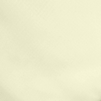 Ткань подкладочная Таффета 12-0703, антист., 53 гр/м2, шир.150см, цвет св.бежевый - купить в Петропавловске-Камчатском. Цена 62.37 руб.