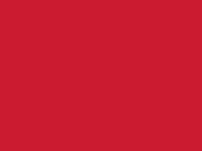 Сетка подкладочная красный, 60г/м2 (10 м/кг) - купить в Петропавловске-Камчатском. Цена 894.77 руб.