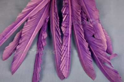 Декоративный Пучок из перьев, перо 25см/фиолетовый - купить в Петропавловске-Камчатском. Цена: 12.19 руб.