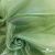 Ткань органза, 100% полиэстр, 28г/м2, шир. 150 см, цв. #27 зеленый - купить в Петропавловске-Камчатском. Цена 86.24 руб.