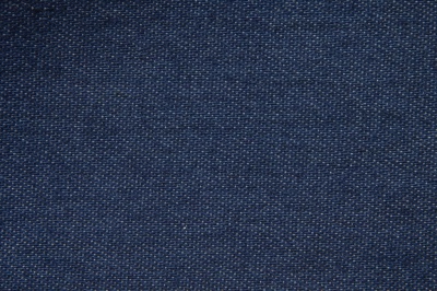 Ткань джинсовая №96, 160 гр/м2, шир.148см, цвет синий - купить в Петропавловске-Камчатском. Цена 350.42 руб.