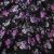 Плательная ткань "Фламенко" 20.1, 80 гр/м2, шир.150 см, принт растительный - купить в Петропавловске-Камчатском. Цена 241.49 руб.