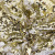 Трикотажное полотно, Сетка с пайетками, шир.130 см, #315, цв.-белый/золото - купить в Петропавловске-Камчатском. Цена 693.39 руб.