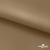 Ткань подкладочная Таффета 17-1327, антист., 54 гр/м2, шир.150см, цвет св.коричневый - купить в Петропавловске-Камчатском. Цена 65.53 руб.
