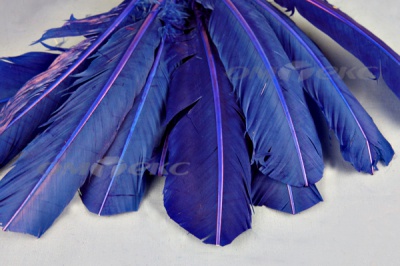 Декоративный Пучок из перьев, перо 23см/синий - купить в Петропавловске-Камчатском. Цена: 12.34 руб.