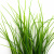 Трава искусственная -3, шт (осока 50 см/8 см  5 листов)				 - купить в Петропавловске-Камчатском. Цена: 124.17 руб.